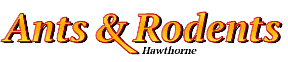 Hawthorne Ant Exterminator & Rodent Control Company Logo